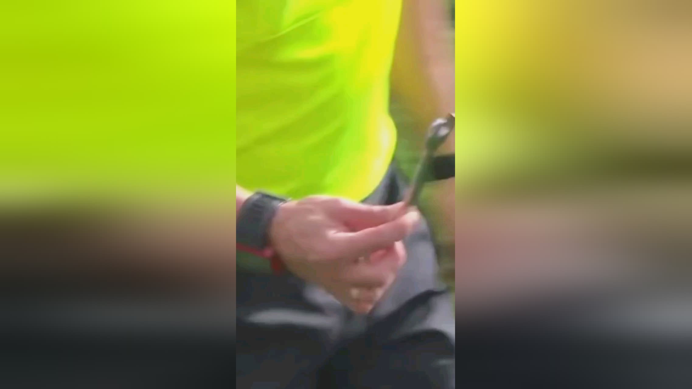 色彩灵感｜鲜艳色彩搭配的包装设计